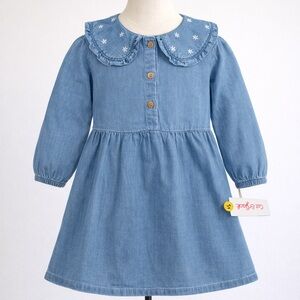 Cat & Jack Blue Embroidered Kids Dress